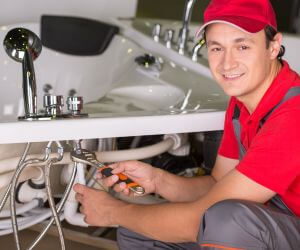 About Septic Pumping Service Ider, AL